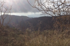 3959 2-12 view