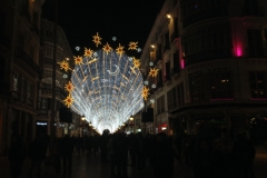 4009 5-12 Christmas lights