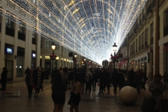 4012 5-12 Christmas lights