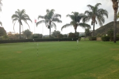 4023 7-12 Putting green