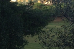 4038 7-12 House through trees