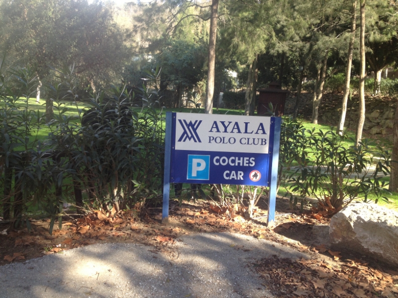 4098 12-12 Ayala Polo Club