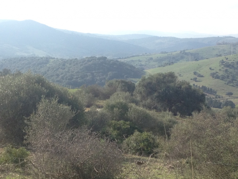 4105 12-12 view