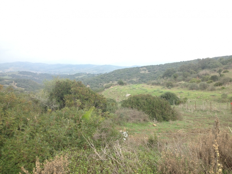 4153 14-12 View
