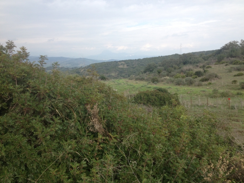 4154 14-12 View