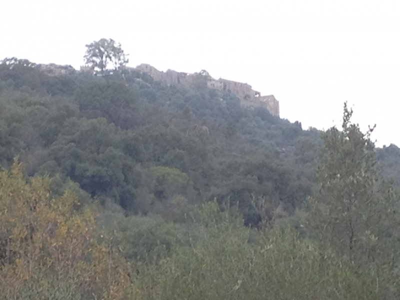 4163 14-12 View
