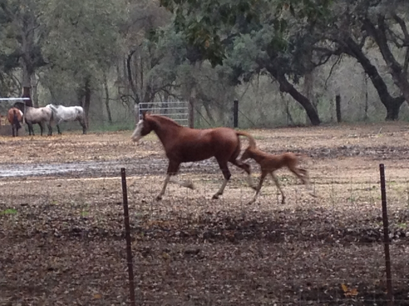4172 14-12 Mother and baby