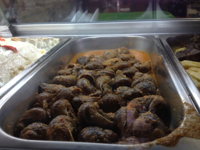 4193 17-12 Cooked snails