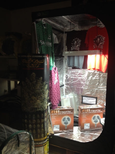 4194 17-12 Merchandise