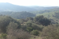4105 12-12 view
