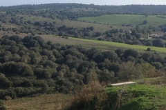 4107 12-12 view