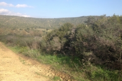 4109 12-12 view