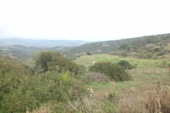 4153 14-12 View