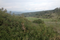4154 14-12 View