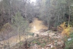 4159 14-12 River
