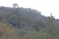 4163 14-12 View