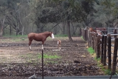 4170 14-12 Mother and baby