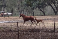 4172 14-12 Mother and baby