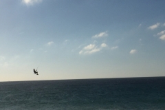 1003 18-11 Paraglider
