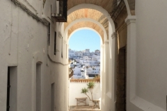 1015 19-11 arched path