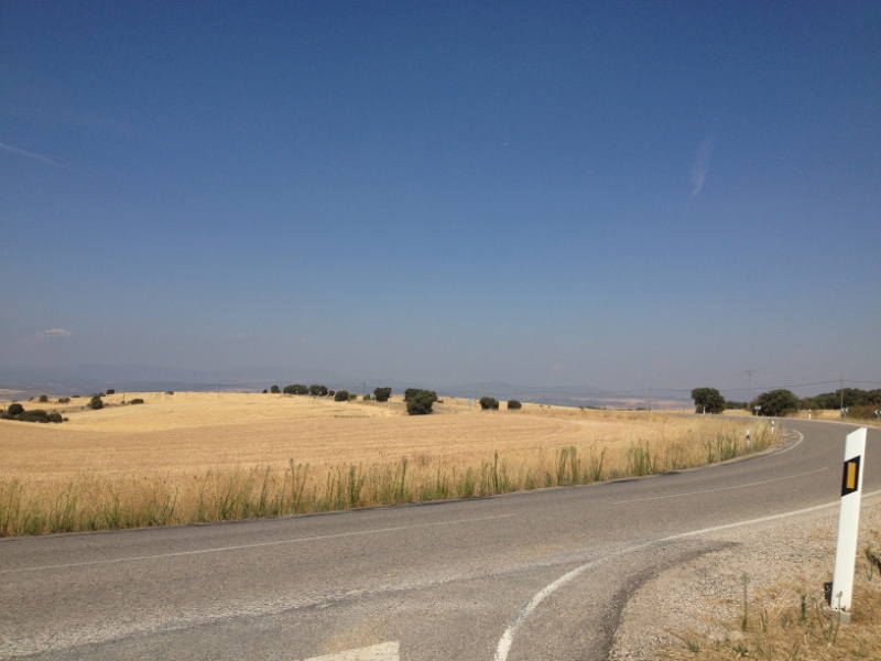 0486 fields