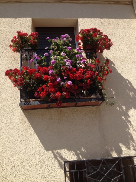 0492 Flower balcony