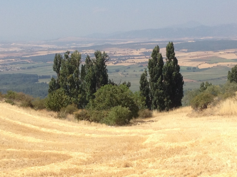 0494 view from hill