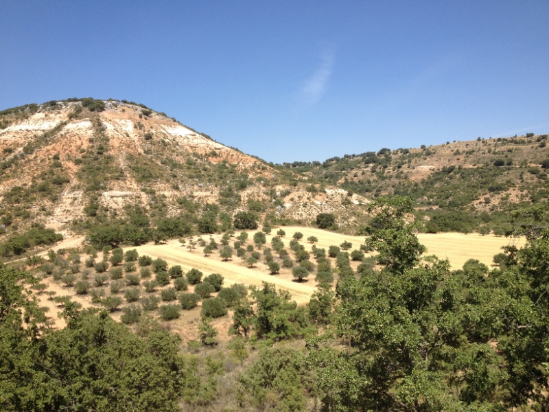 0499 view over hill