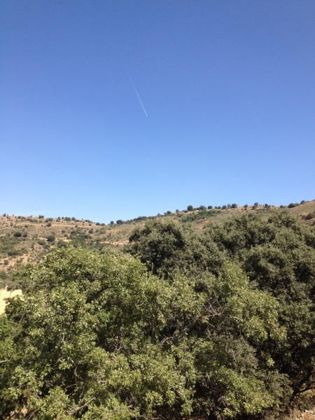 0500 view over hill
