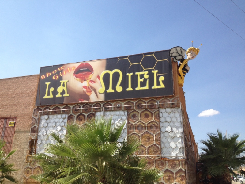 0561 the Honey Pot