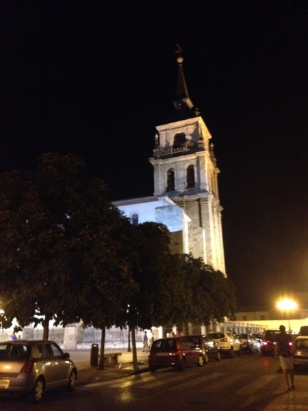 0590 Watching bats fly over the church