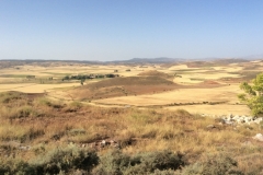 0433 B scenery