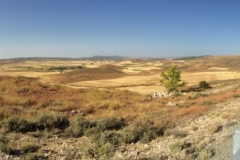 0433 C scenery