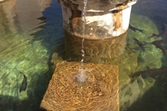 0433 H fishpond