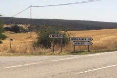0433 P signs