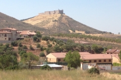 0469 castle on hill
