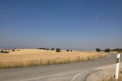 0486 fields