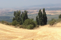 0494 view from hill