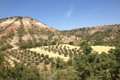0499 view over hill