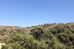 0500 view over hill