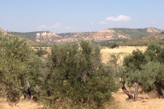 0509 hill