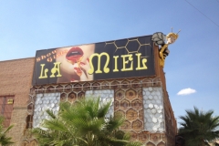 0561 the Honey Pot
