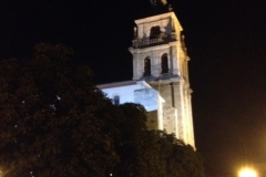 0590 Watching bats fly over the church