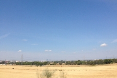0607 pylons