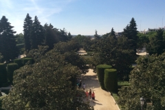 1229 Palace garden