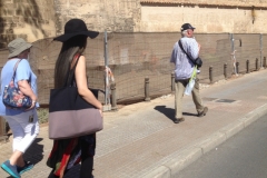 1121 pedestrians