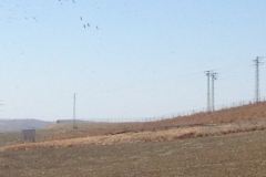 1166 Pylons