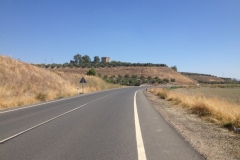 1167 Road Landscape