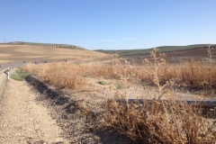 1173 scenery