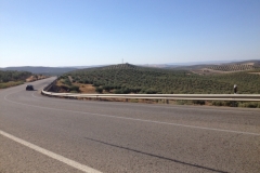 1175 scenery